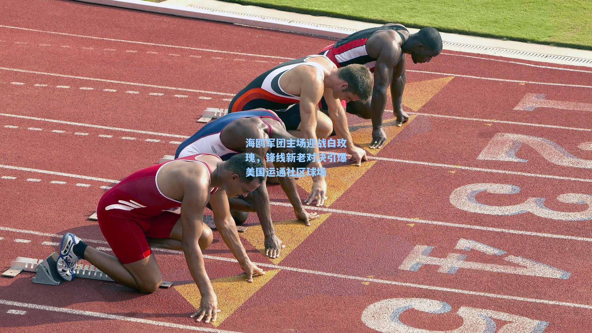 海鸥军团主场迎战白玫瑰,锋线新老对决引爆美国运通社区球场