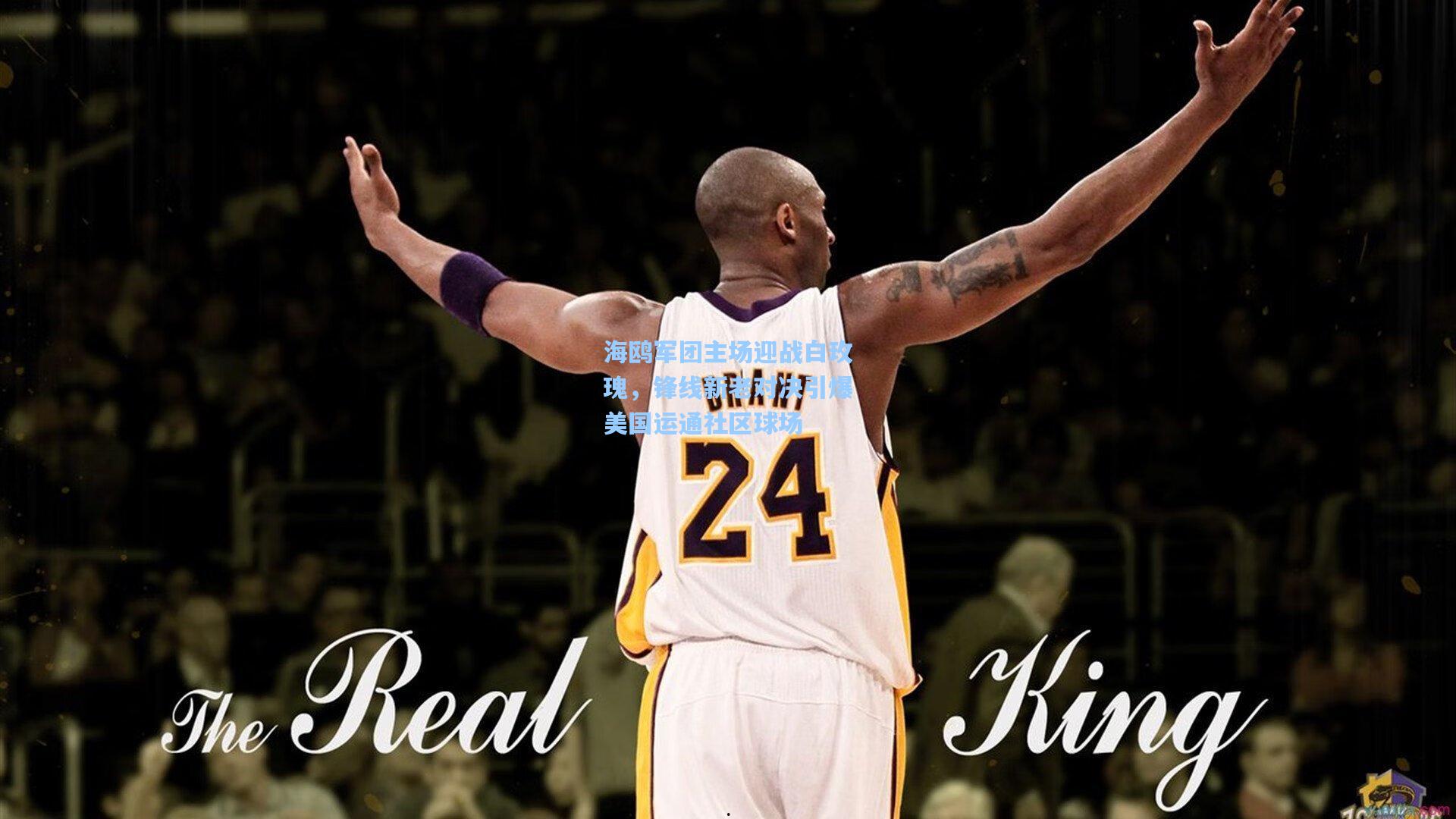 海鸥军团主场迎战白玫瑰,锋线新老对决引爆美国运通社区球场